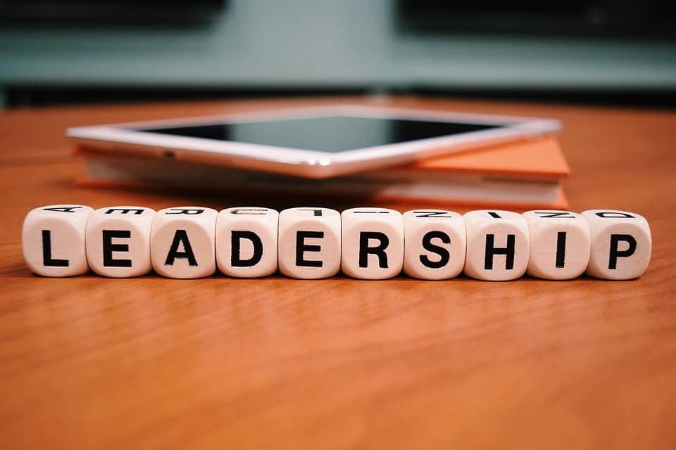 You are currently viewing Why do CEO’s need a leadership boost?